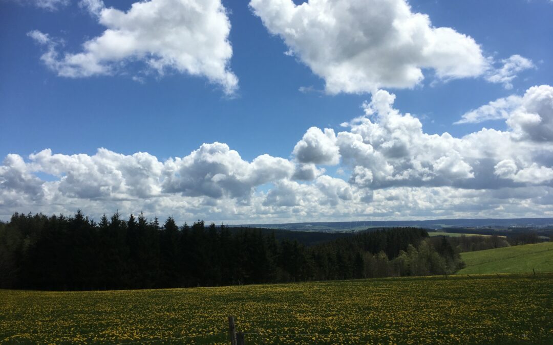 Was bringt der Himmel heute
